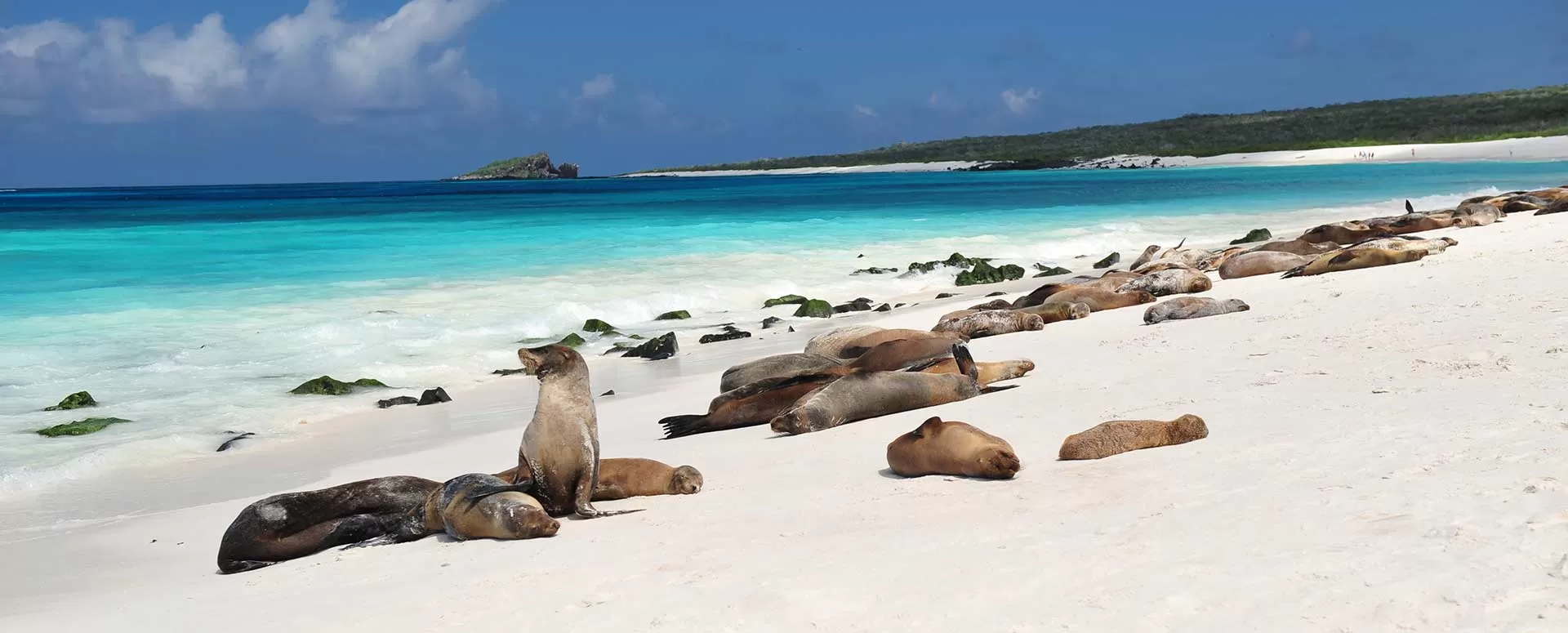 galapagos natural