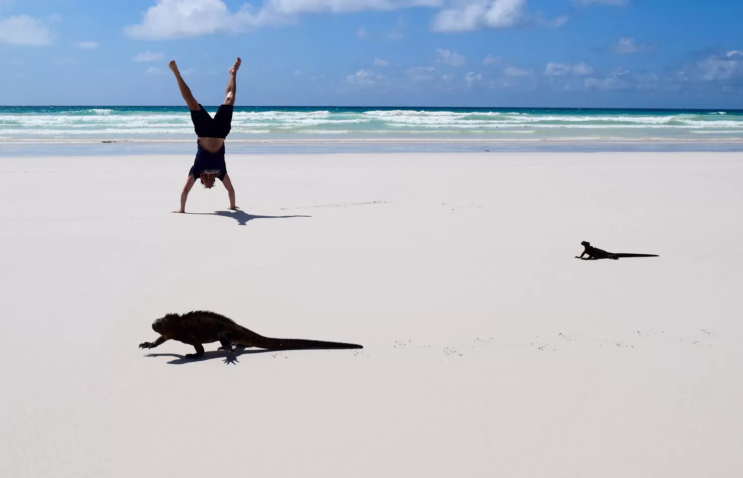 Galapagos Cruises: What is the best option?