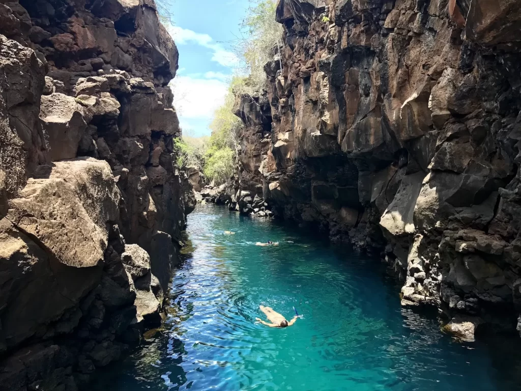 Galapagos vs Costa Rica Cruise: Santa cruz island