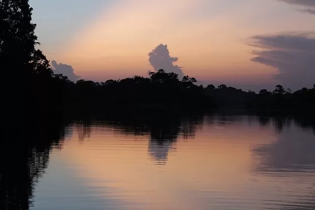 amazon rainforest ecuador travel tourist place