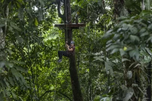 activities in amazon