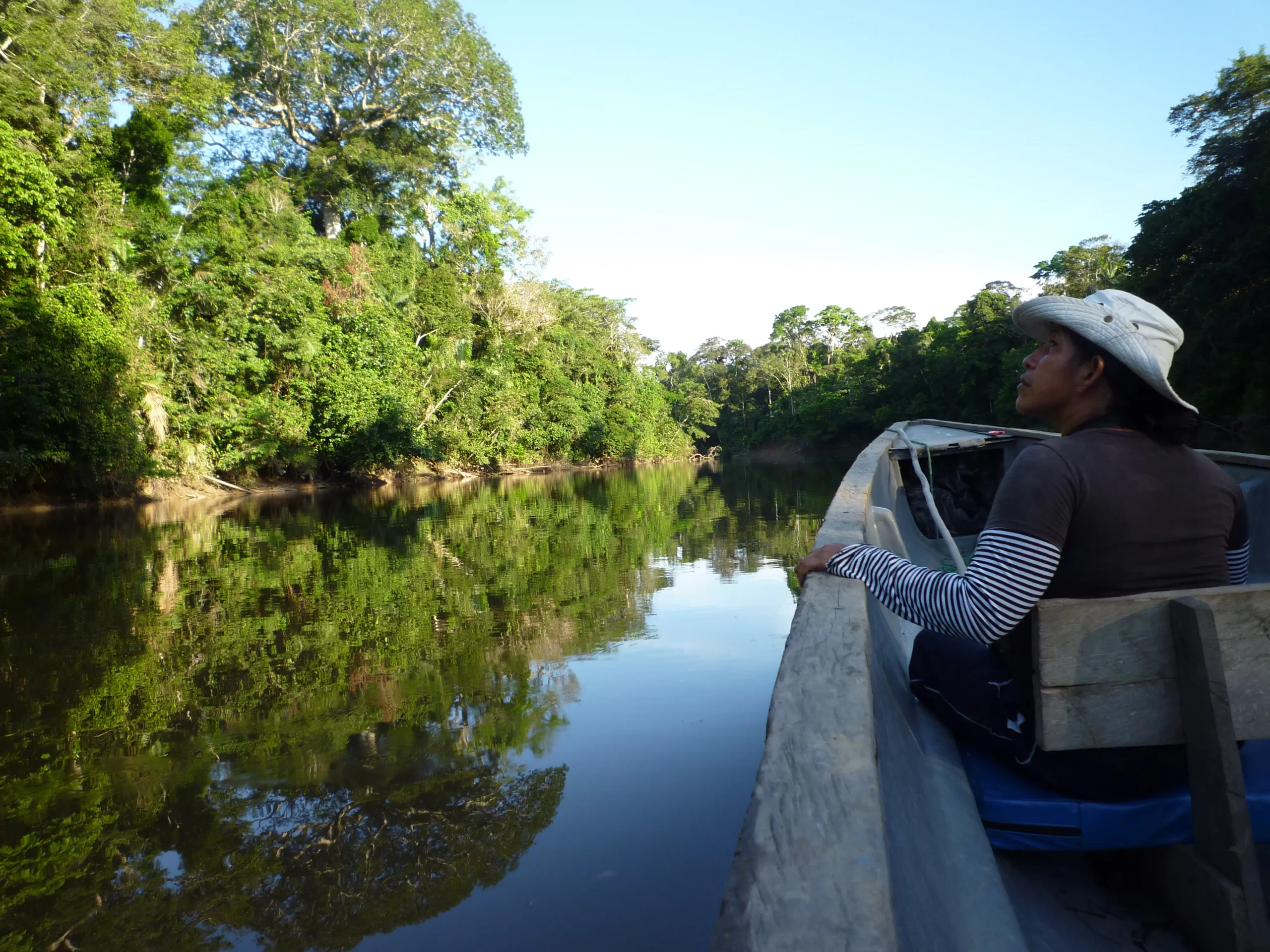 season amazon rainforest