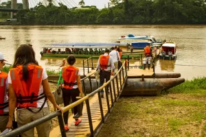 Rainy season napo river