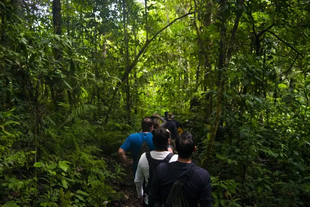 yasuni national park