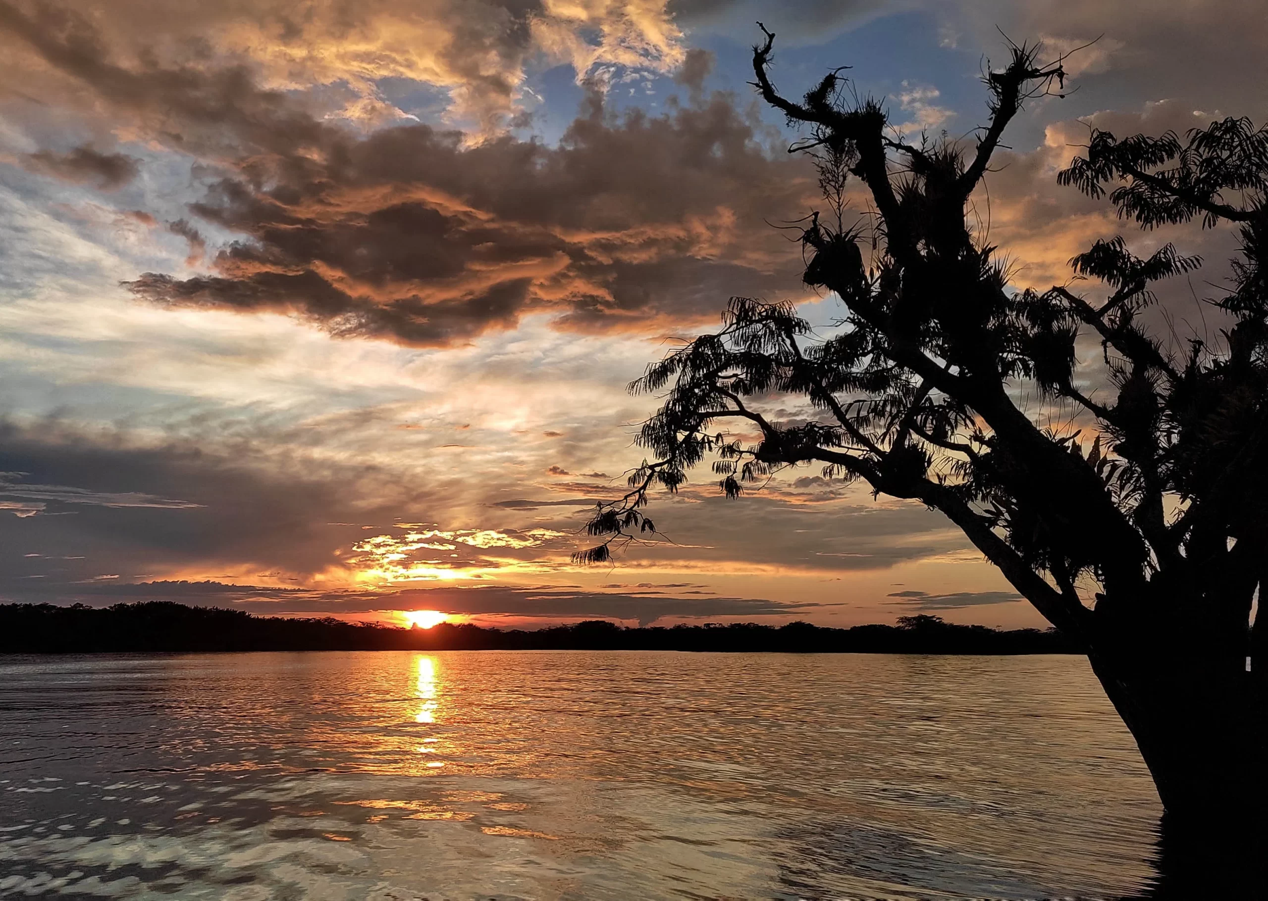 Protected Areas of the Amazon Rainforest