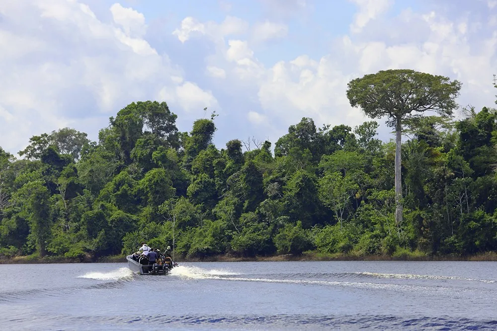 BIODIVERSITY IN THE ECUADORIAN AMAZON