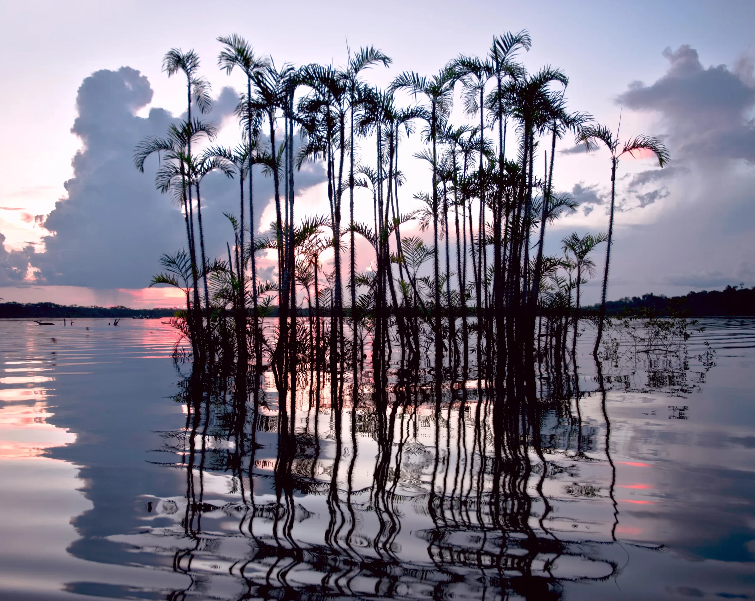 BIODIVERSITY IN THE ECUADORIAN AMAZON
