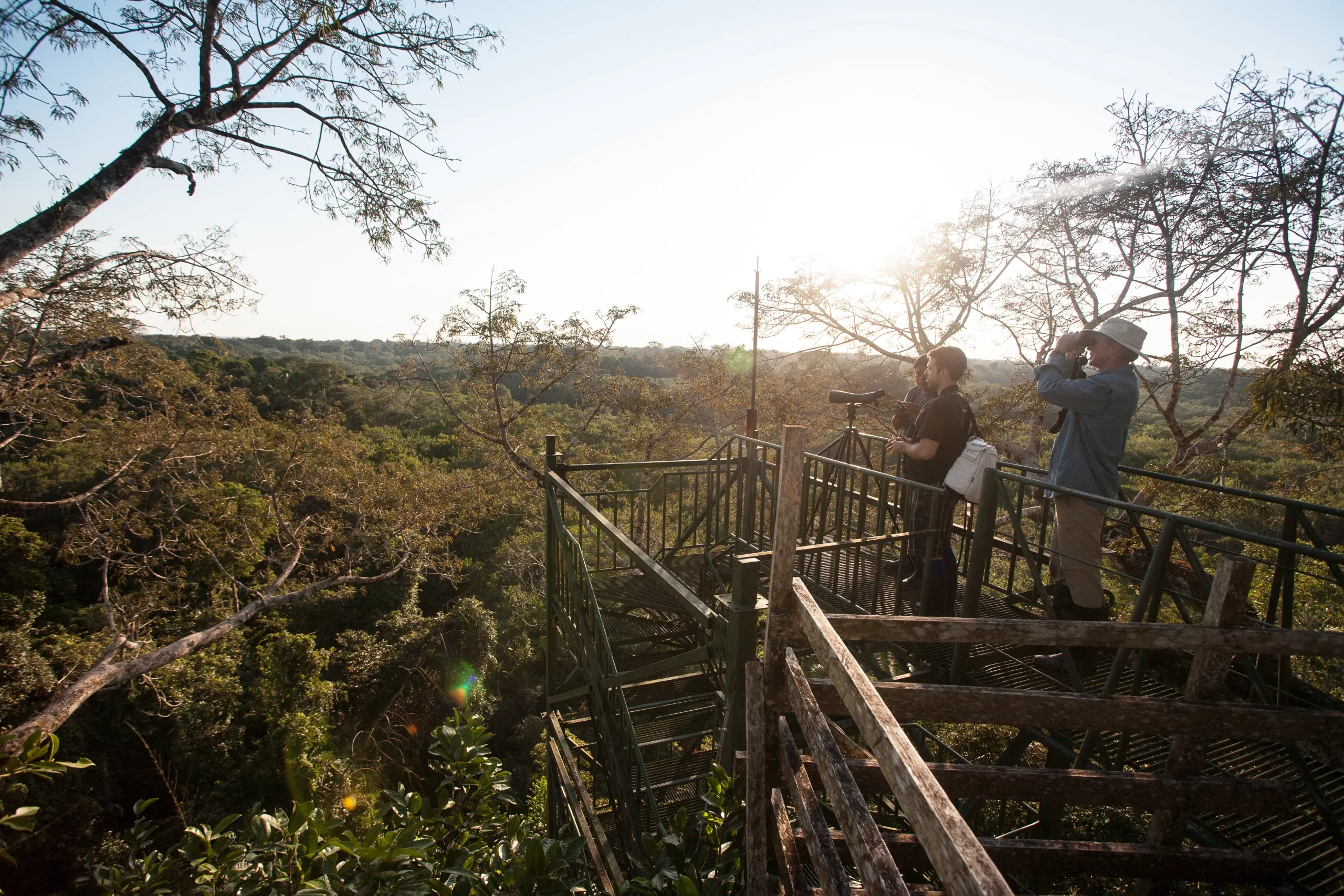 landscape of the amazon rainforest