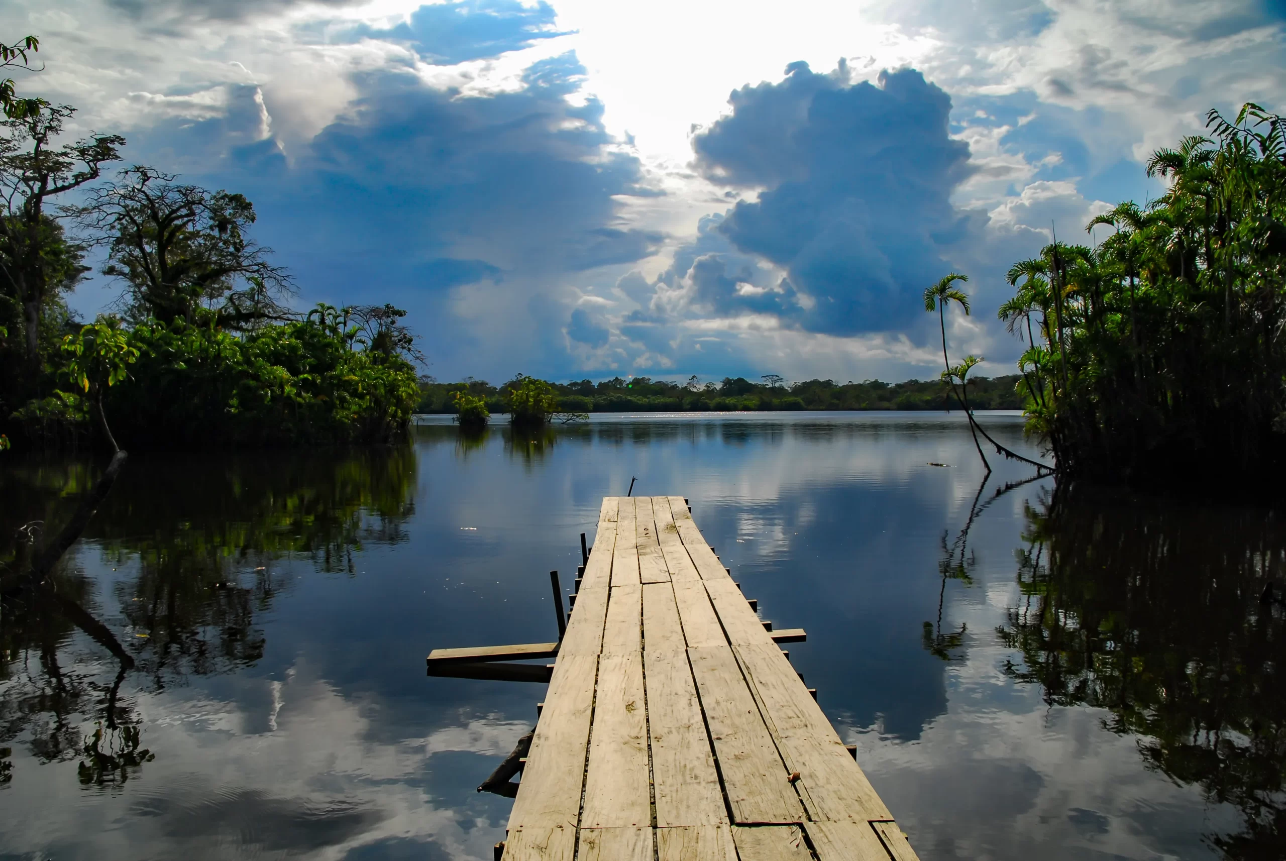 Protected Areas of the Amazon Rainforest