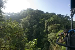 views from mashpi lodge