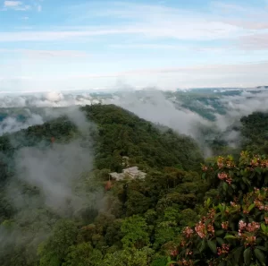 views from mashpi lodge