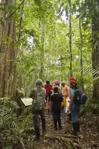amazon rainforest camping
