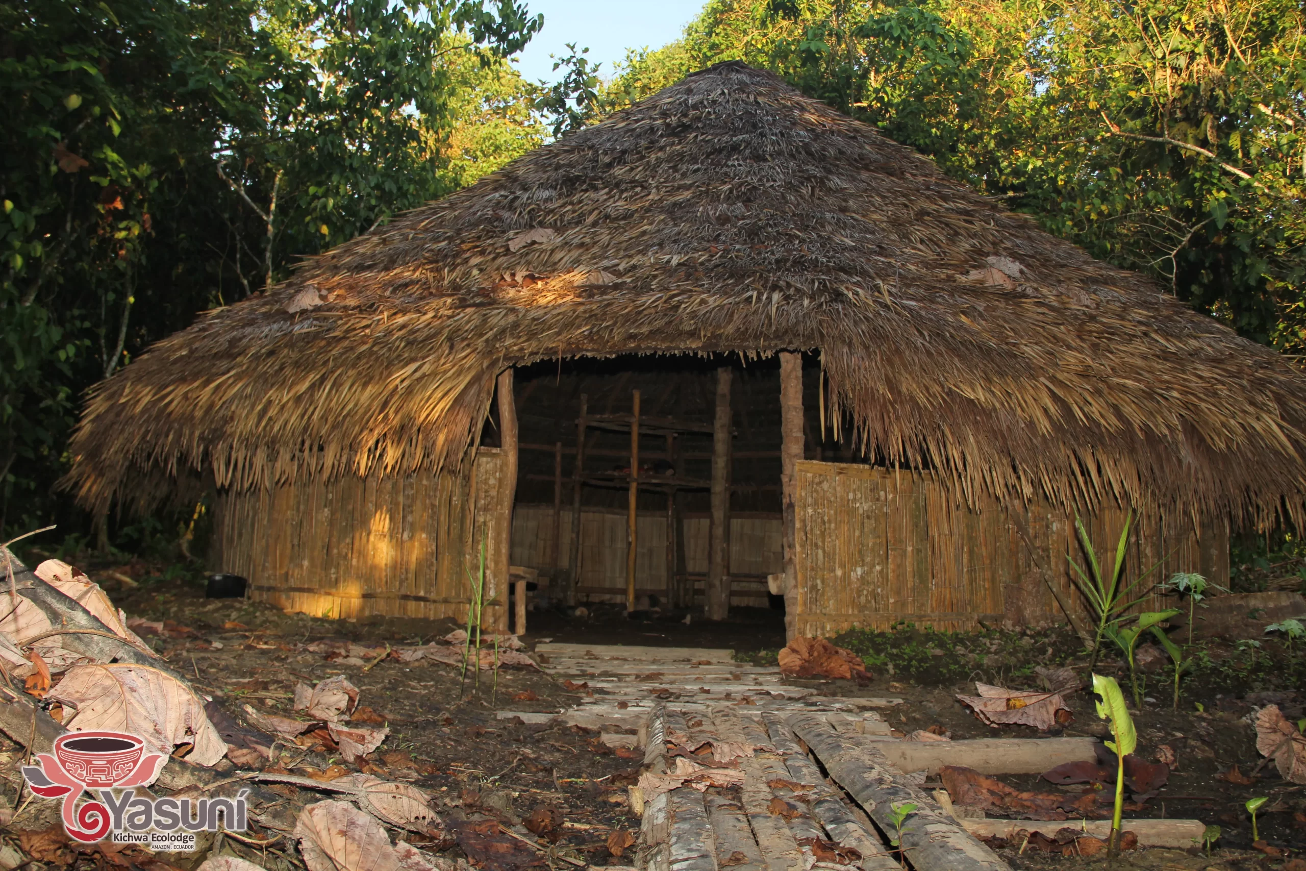 Amazonian Maloca: Spirituality in the Jungle