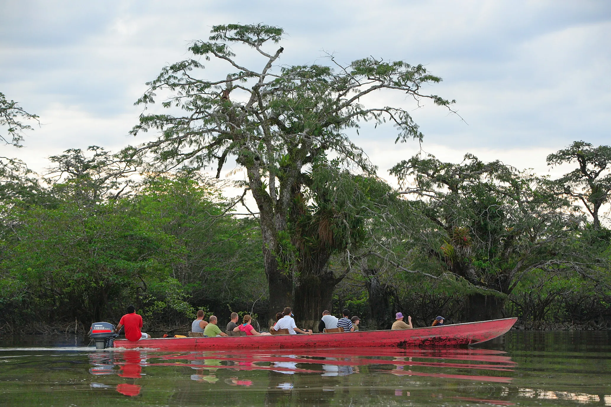 ecuador amazon rainforest activities