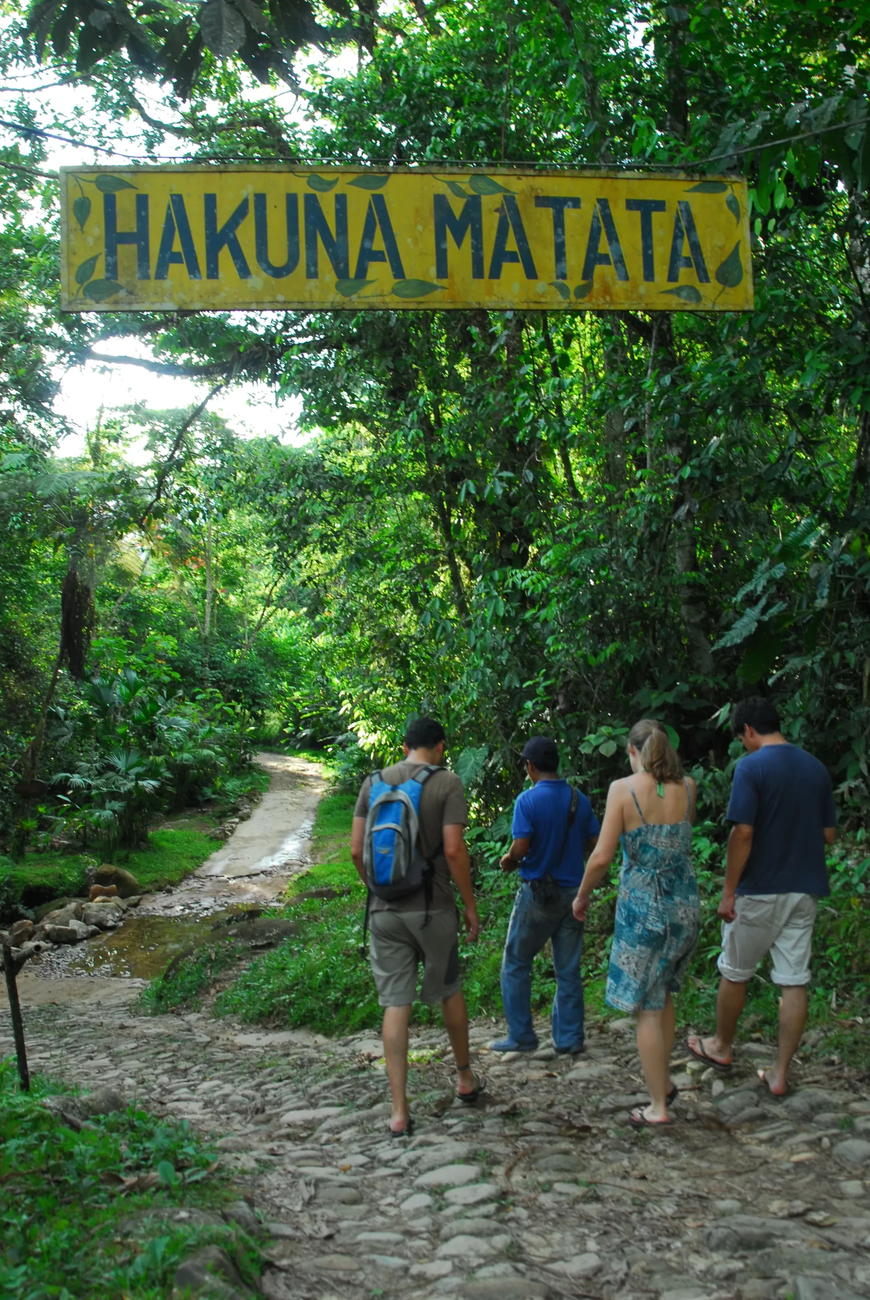 Hakuna Matata lodge area