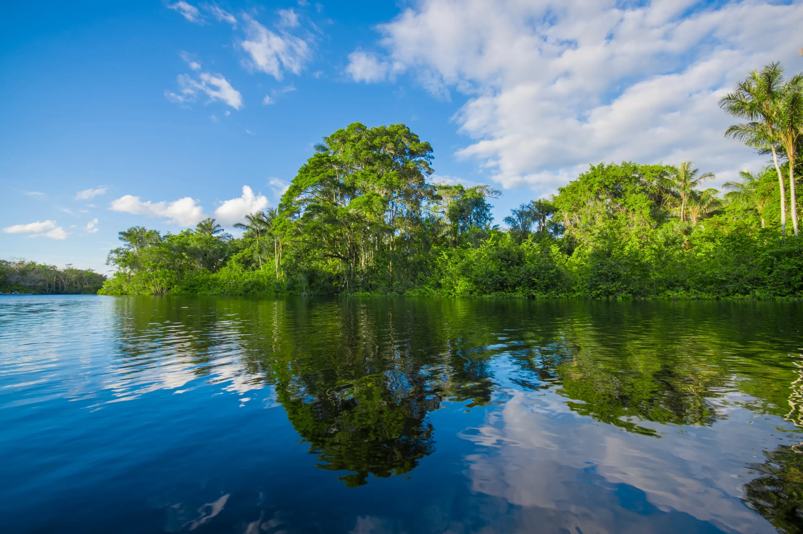 River cuyabeno the siona community cuyabeno national park