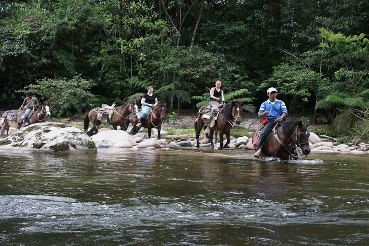 Hakuna Matata lodge activities with horses