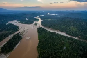 Ecuador's Napo River