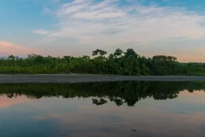 Ecuador's Napo River