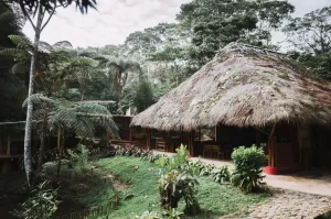 Tena, the gateway to the Amazon