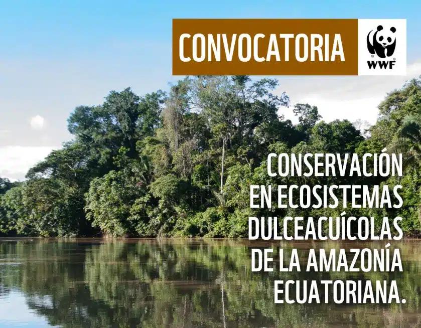 Projects in Amazon rainforest
