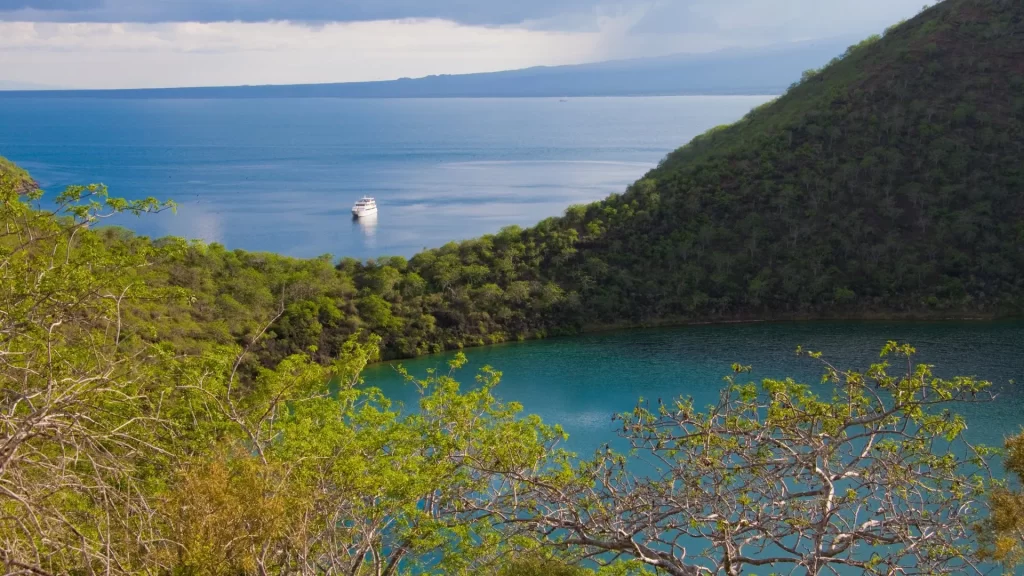 View from a lake with Palo Santo trees on Isabela Island, Galápagos, with a boat approaching from the ocean in the distance.