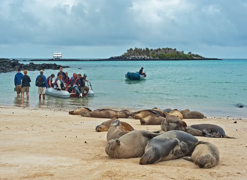 Galapagos tourist stay duration limit - Tourists boarding a boat near the beach as sea lions rest nearby and another boat approaches from the ocean, Galápagos.