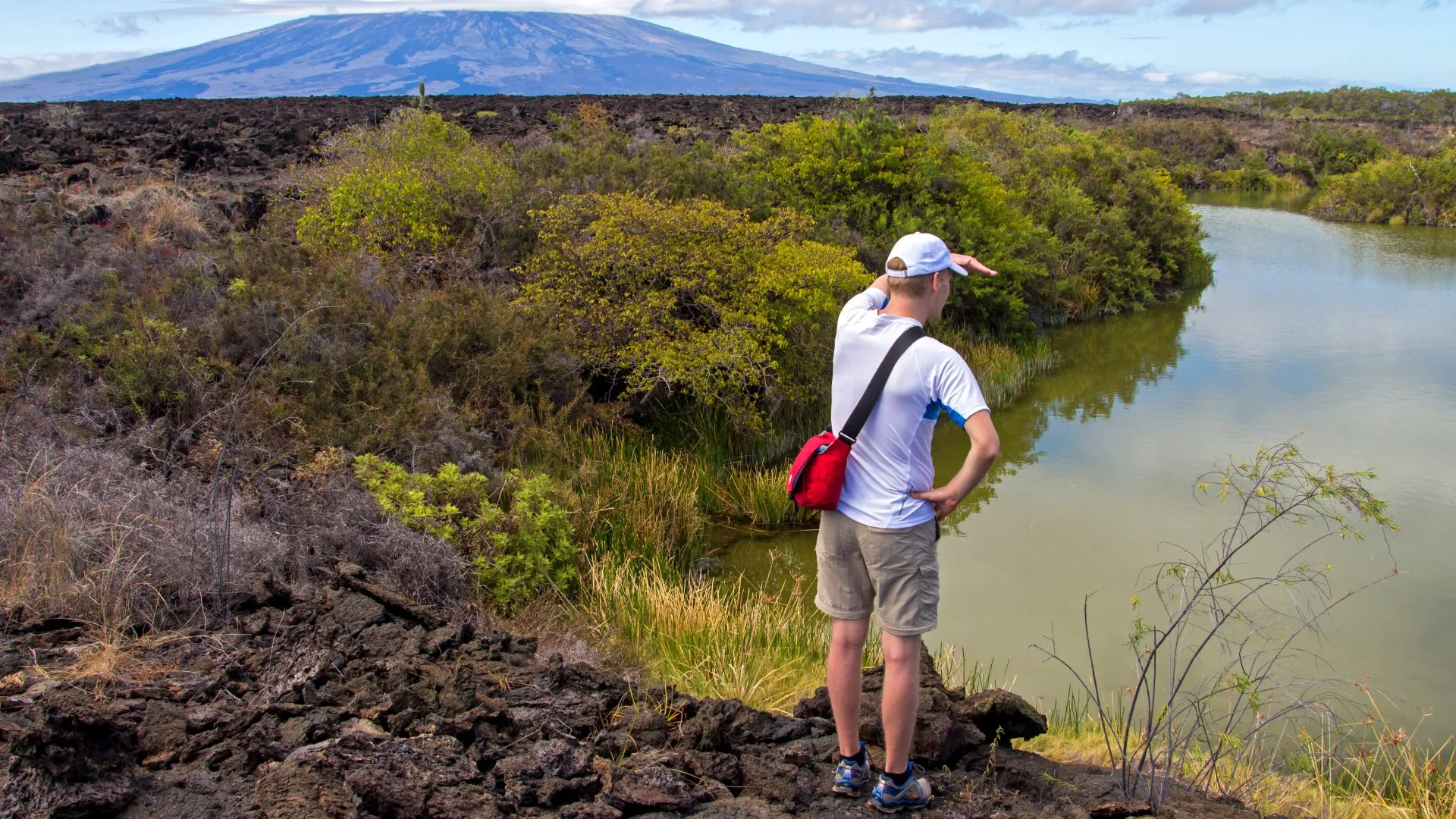 Galapagos tourist stay duration limit -Tourist observing green plants growing from volcanic soil with the ocean on the horizon, Galápagos.