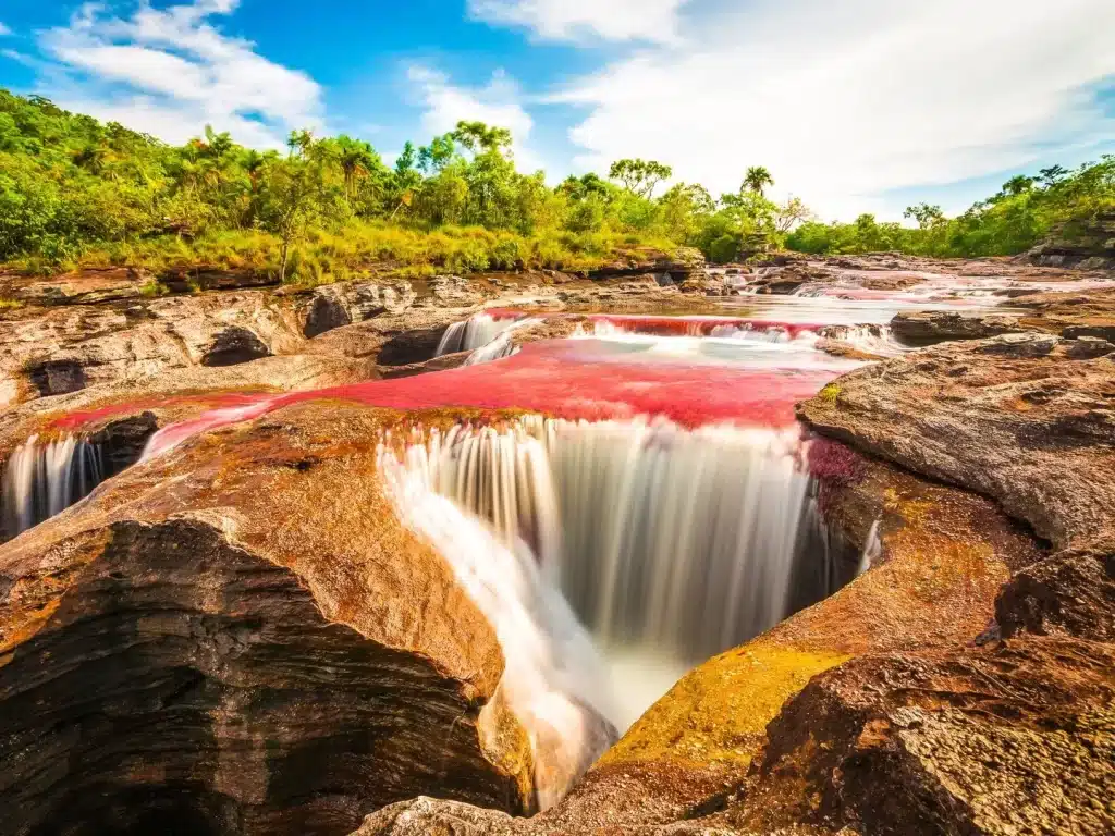 Caño Cristales bucket list