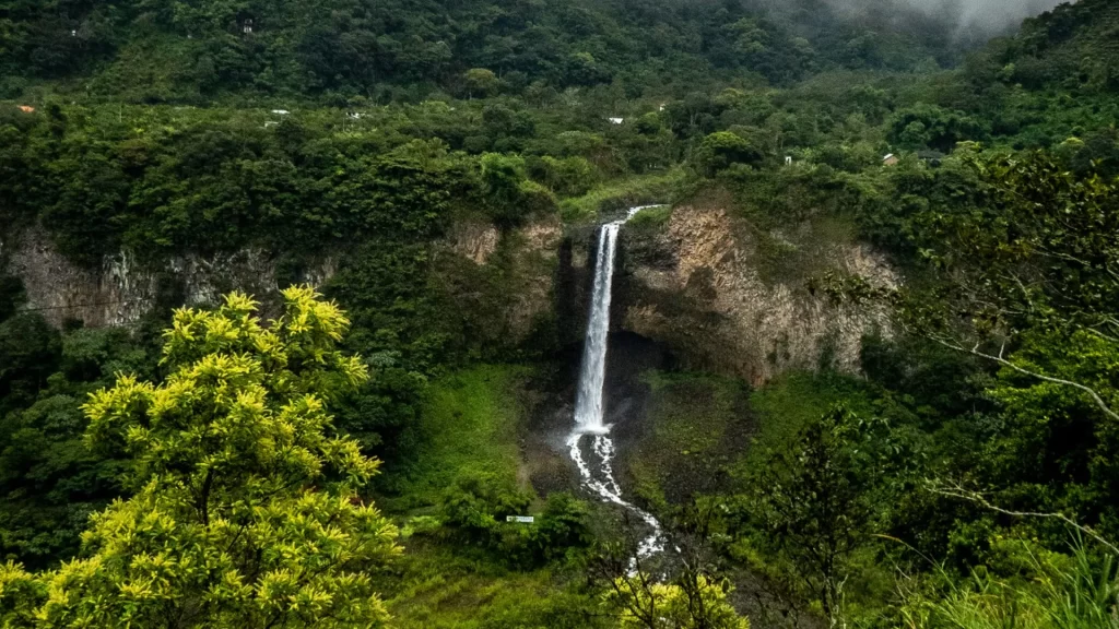 A lush jungle waterfall surrounded by tropical vegetation in Mindo, Ecuador.