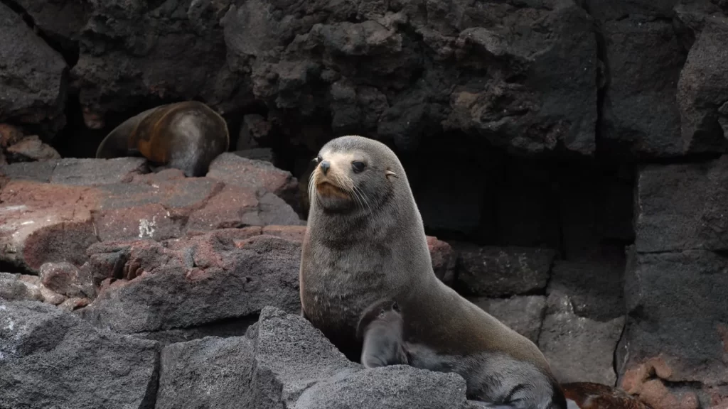 galapagos travel tours