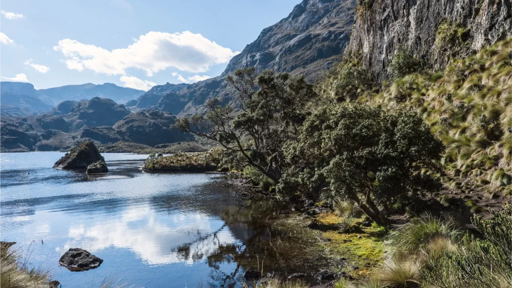 Landscape of El Cajas National Park in Ecuador, showing a clear water lake surrounded by mountains and páramo vegetation.