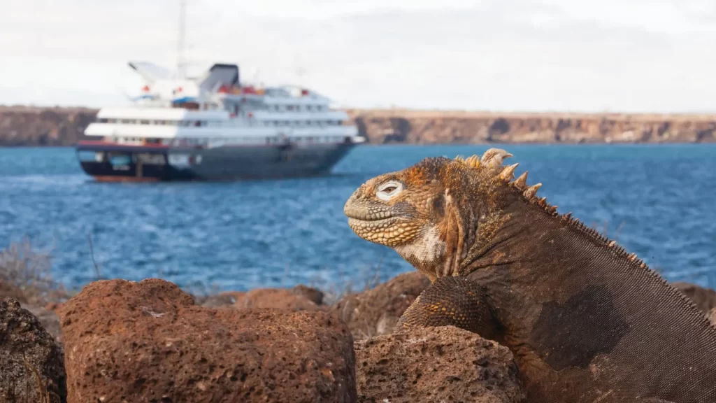 Silver Origin combines luxury and eco-consciousness to explore the Galápagos with respect-Silver Origin