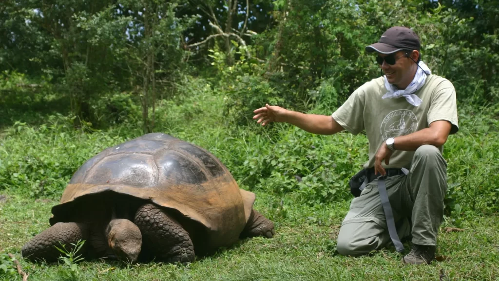 Local guide connects with nature alongside a giant tortoise-best Galapagos tour company