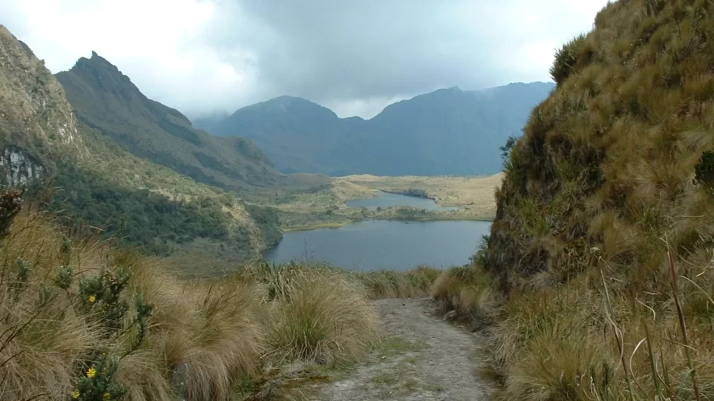 Mountain trail leading to lagoons in Cayambe-Coca National Park, Ecuador, surrounded by páramo vegetation.