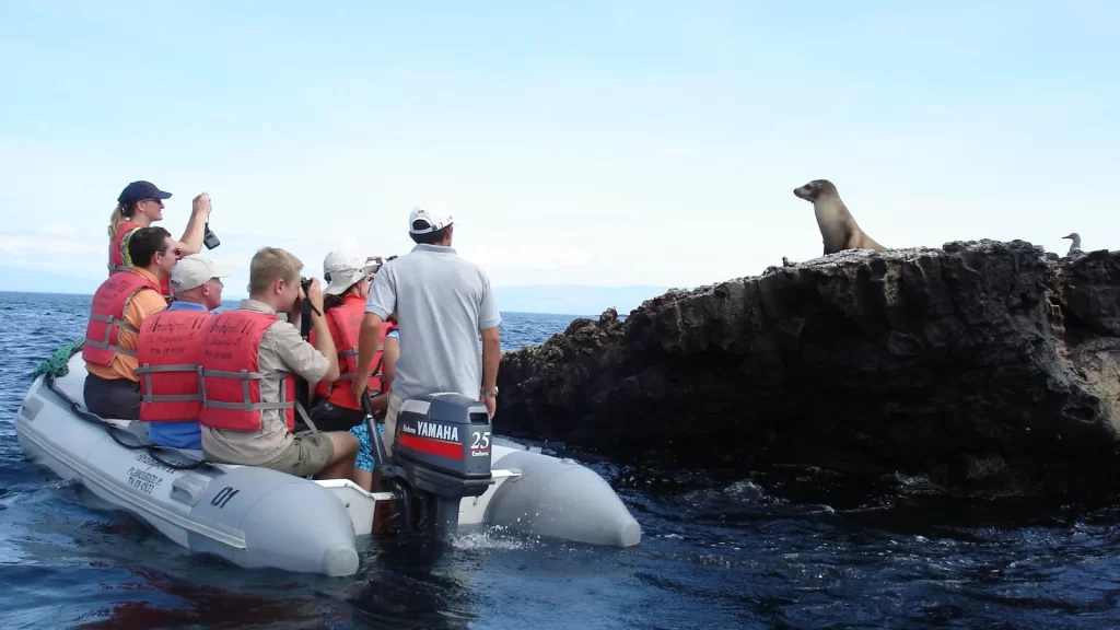 Tourists capture the moment as a sea lion peeks out-life marine