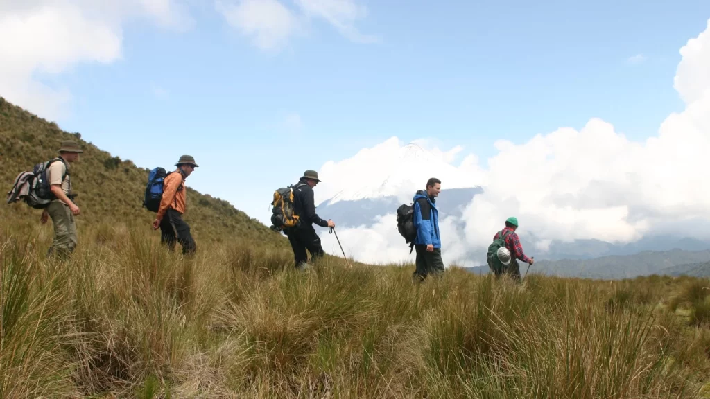 Hikers make their way along the scenic trails of the Ecuadorian Andes-Trekking in Ecuador