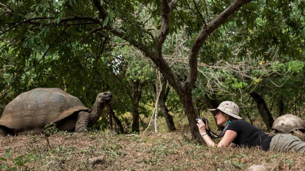 Traveler photographing a giant tortoise-Galapagos cruise vs land based