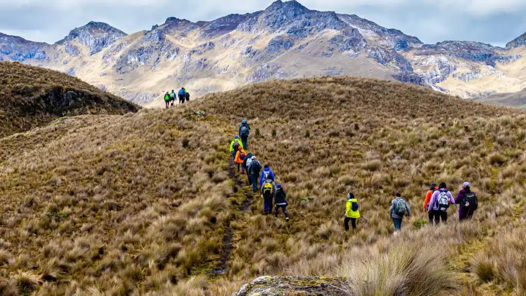 Group of hikers ascending a mountain trail in El Cajas National Park, Ecuador, surrounded by páramo grasslands and rolling Andean peaks.