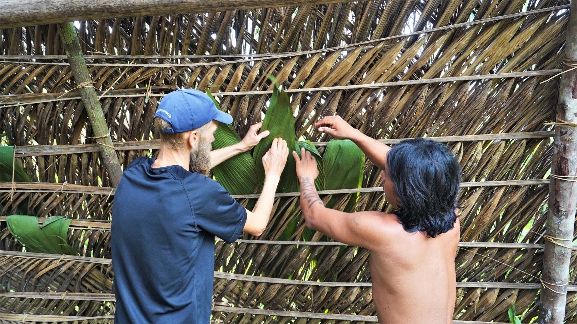 Tourists and Waorani community members working together to build a traditional house in the Ecuadorian Amazon.