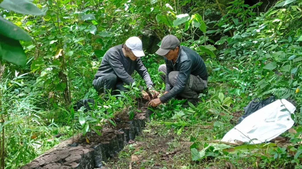 Participants plant trees to restore the Amazon rainforest-Ecuador's Amazon
