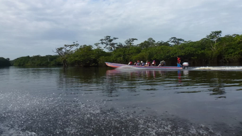 A canoe glides gently over the black waters, surrounded by lush jungle-Cuyabeno Wildlife Reserve