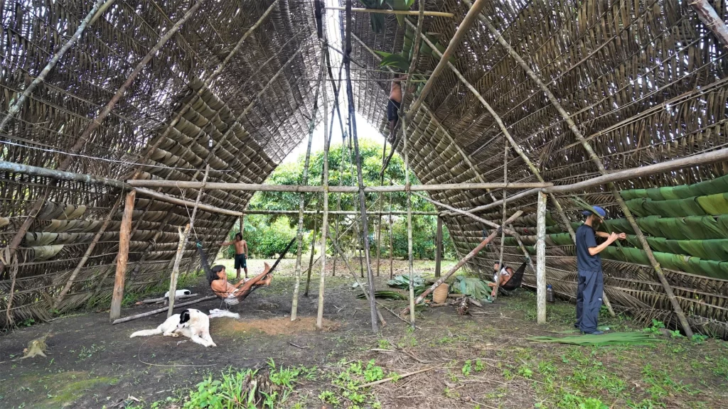 Interior of a traditional Waorani house in the Ecuadorian Amazon, built with palm leaves and wood.