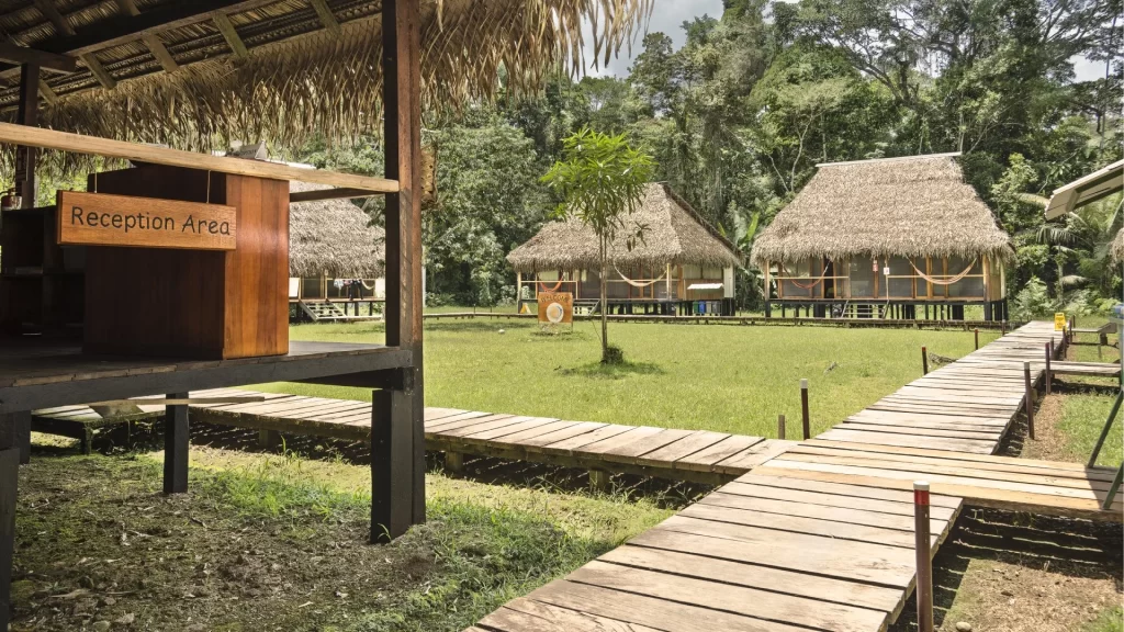 Eco-friendly wooden cabins built on stilts at Cuyabeno Lodge, surrounded by rainforest in the Cuyabeno Reserve.