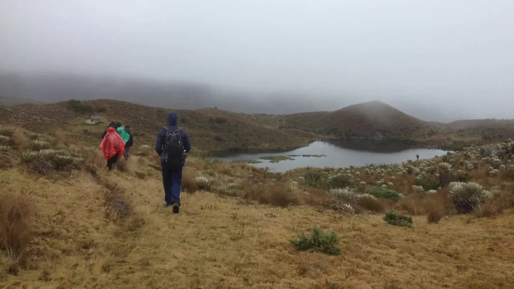 Snow‑capped peaks and páramo vegetation in Los Nevados National Natural Park, Colombia