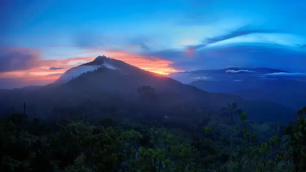 Jungle trail in Sierra Nevada de Santa Marta Colombia among sacred sites