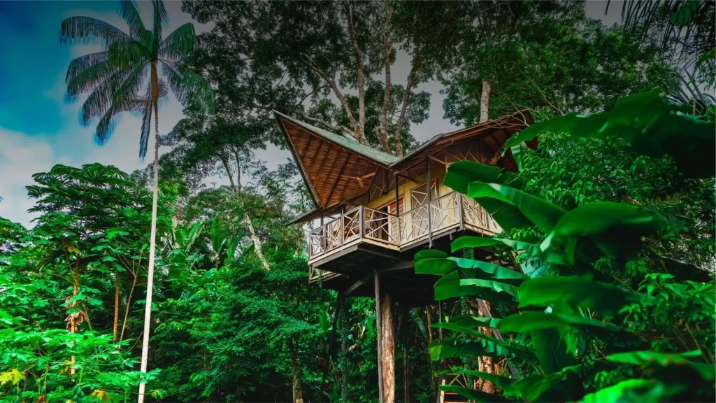 Burú Nature Hotel among the trees of the Amazon-tourism in Colombia’s Amazon
