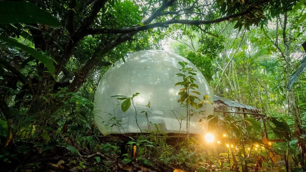 Glamping Oro Verde in the Amazon rainforest-tourism in Colombia’s Amazon