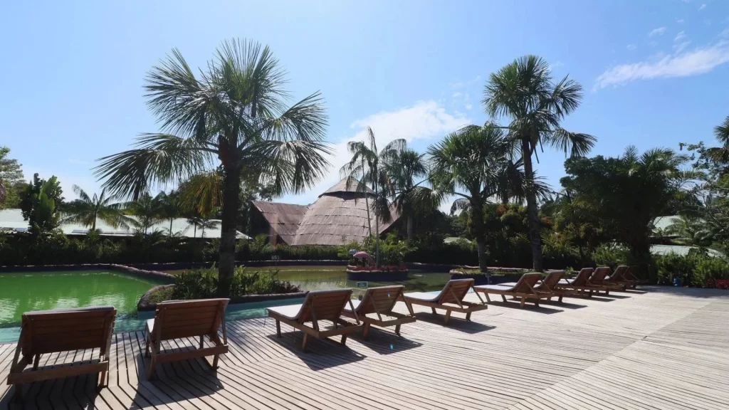 Biohotel Arara surrounded by palm trees and a natural pool-tourism in Colombia’s Amazon