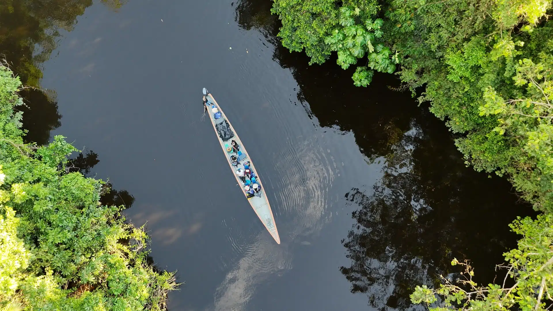Motorized canoe navigating the calm waters of the Zábalo River in the Cuyabeno Reserve, Ecuadorian Amazon.